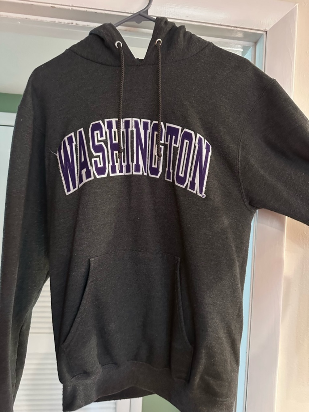 Washington Champion Men's Crewneck Hoodie - Charcoal